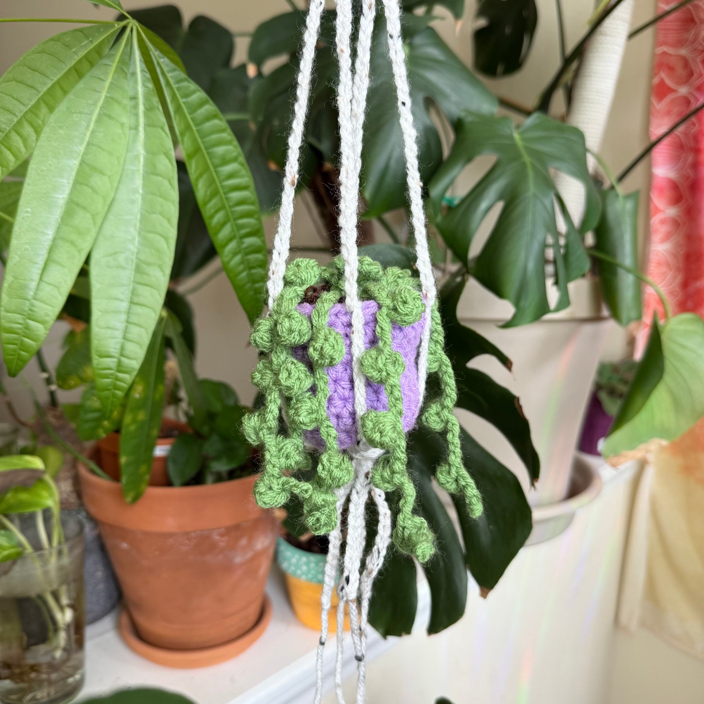 Stash Plant - Purple