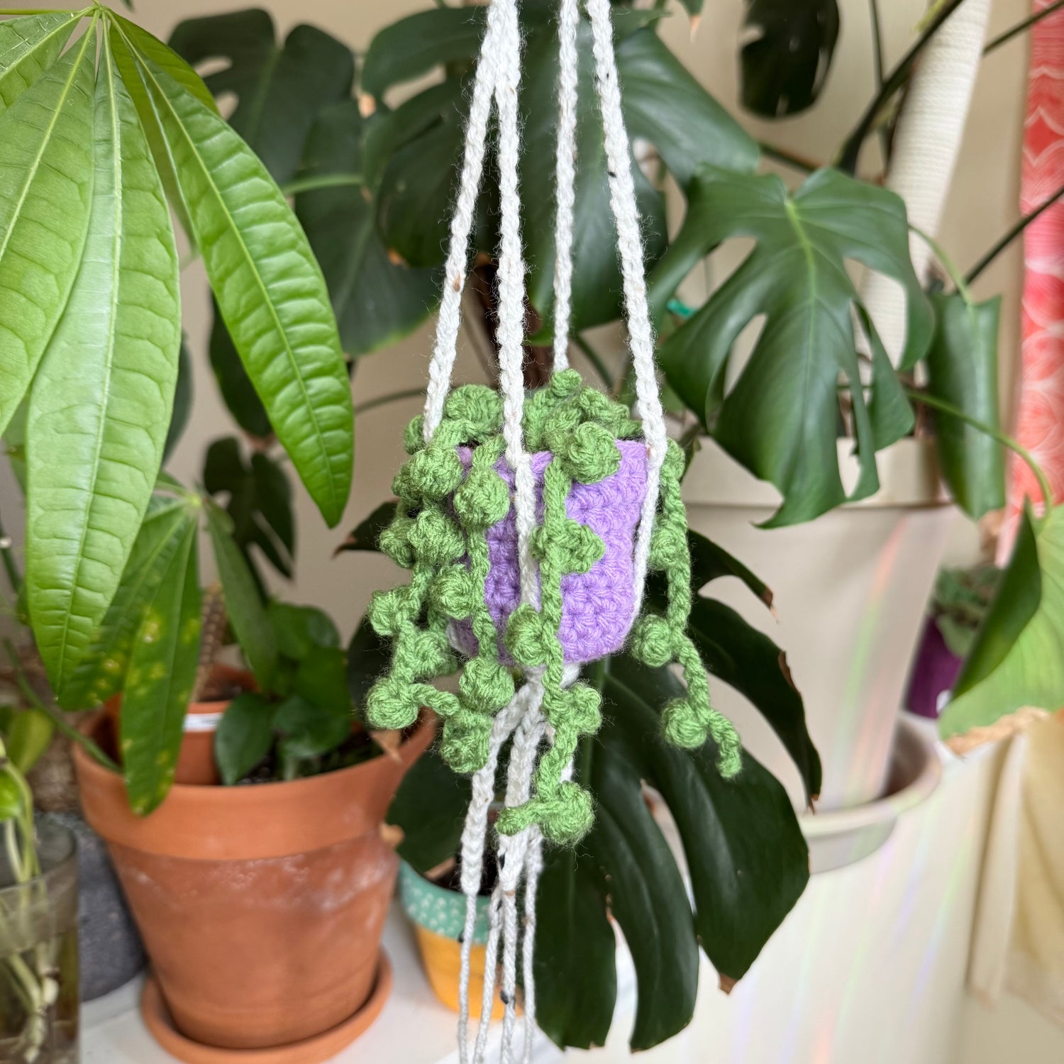 Plants