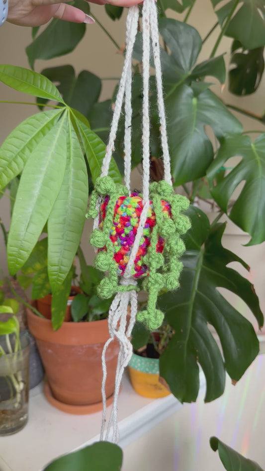 Stash Planter